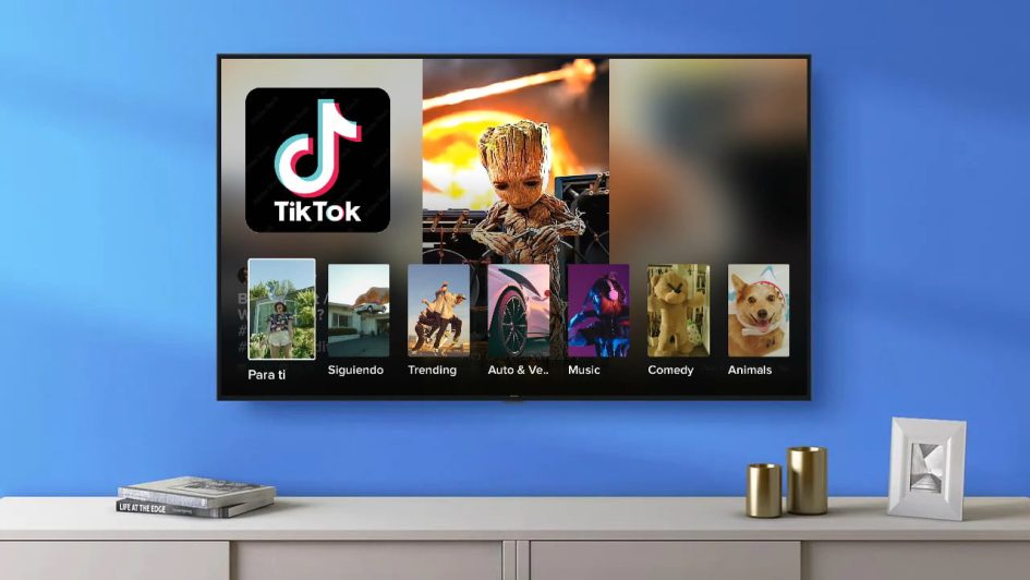 TikTok TV