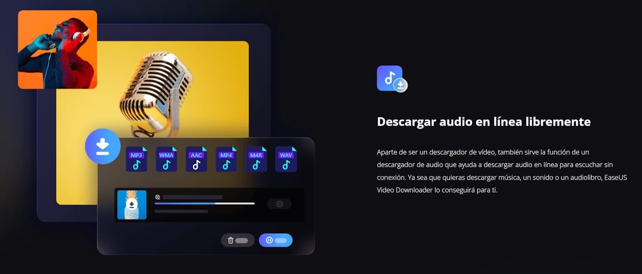 easeus video downloader audio