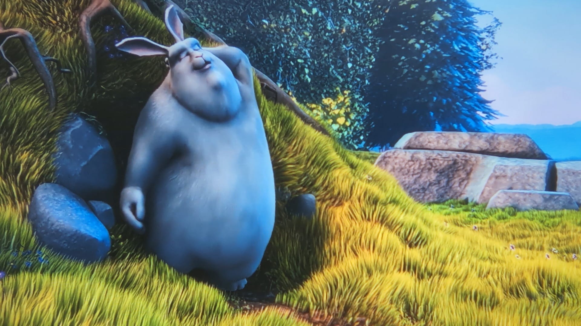 MAGCUBIC HY300 Pro review a021