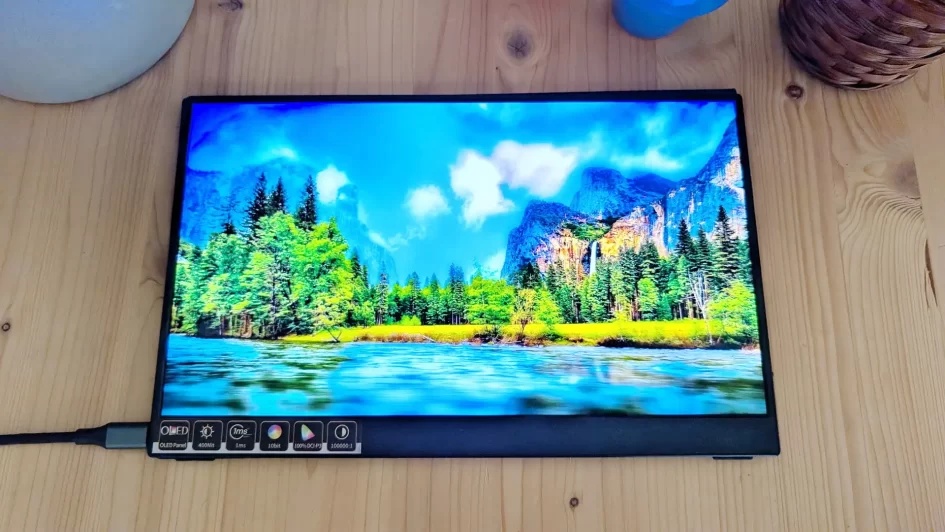Bimawen OLED 133 review tz001