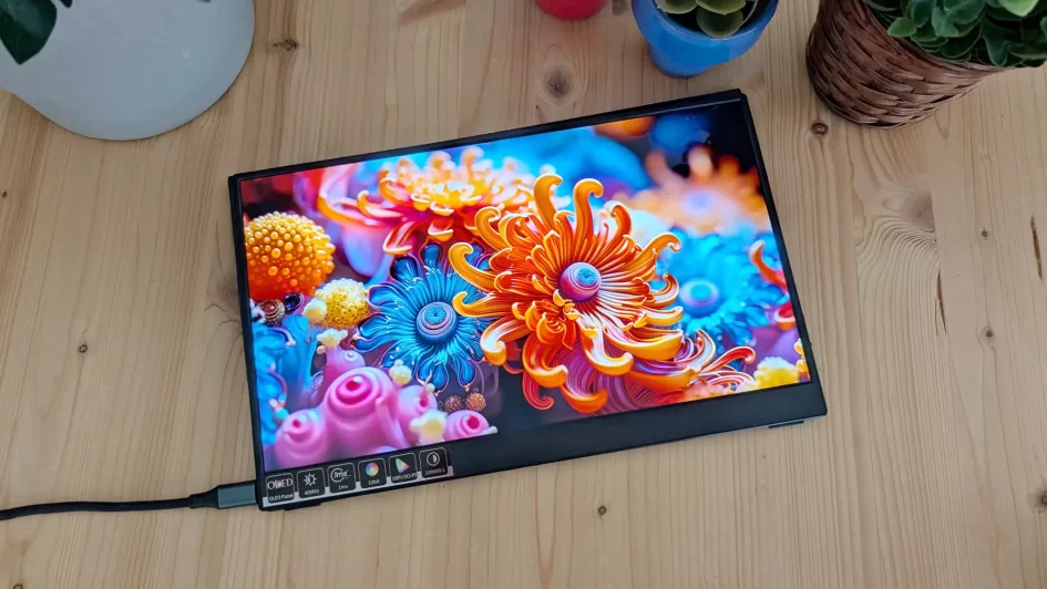 Bimawen OLED 133 review tz002