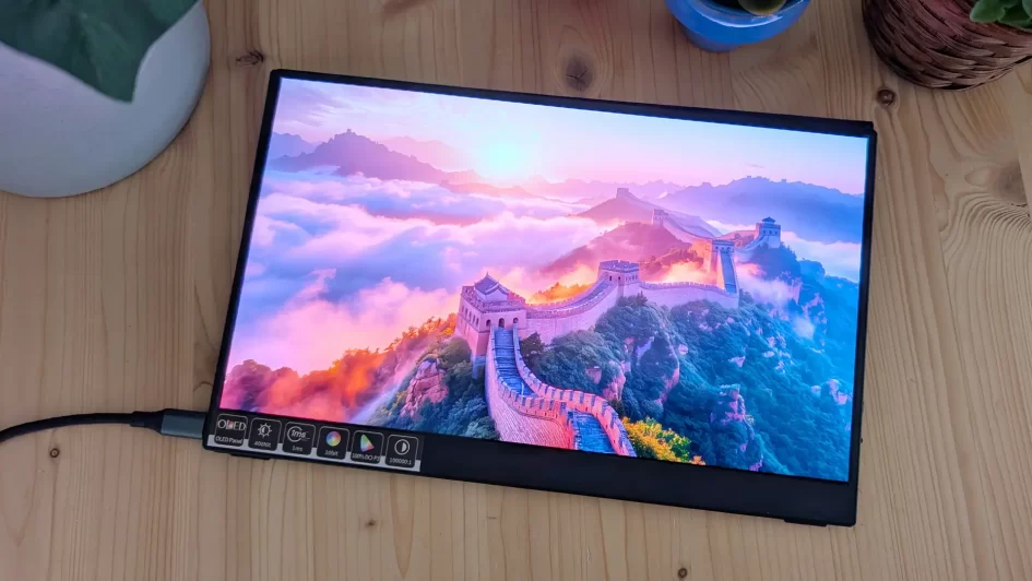 Bimawen OLED 133 review tz003