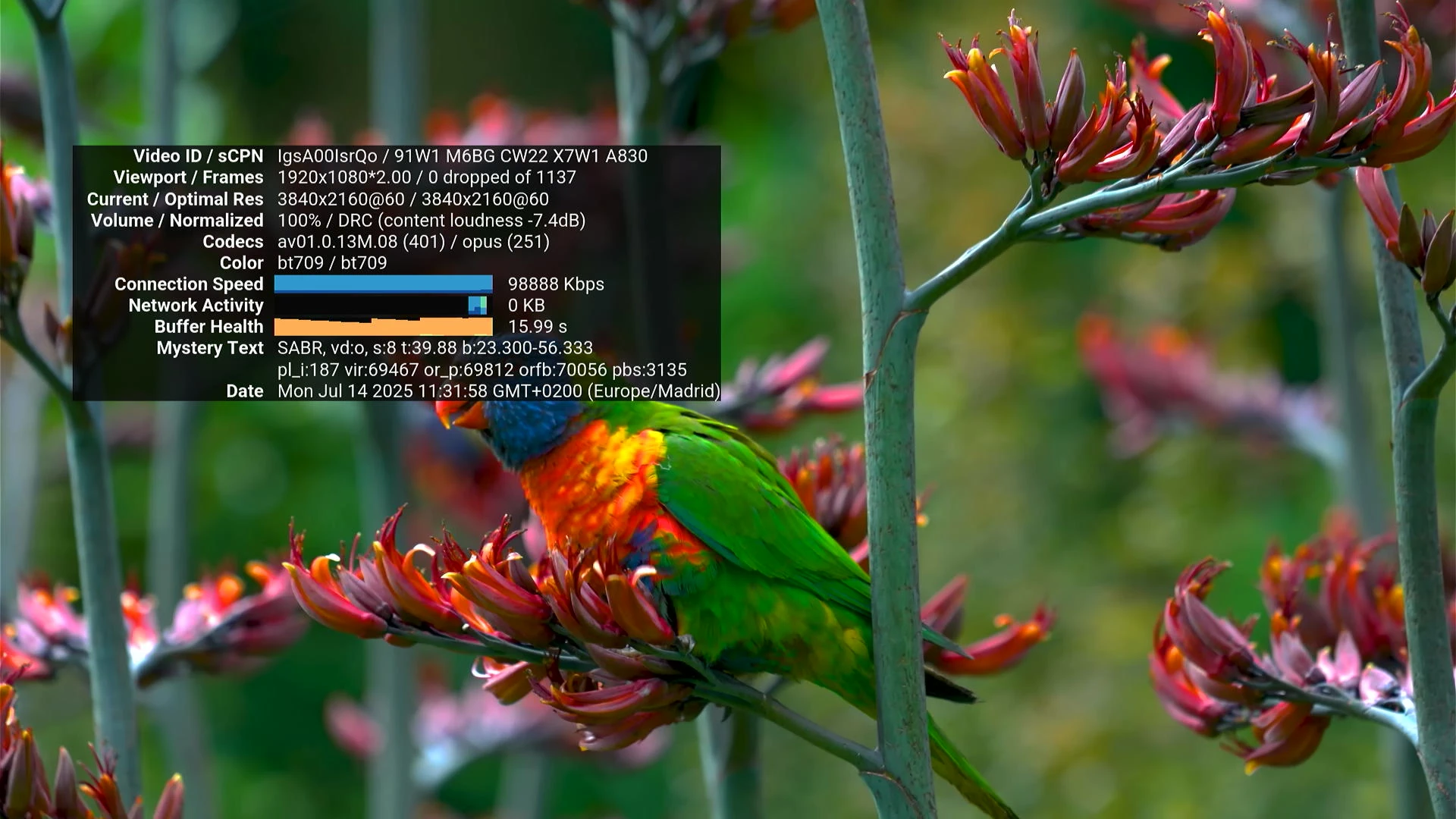 Xiaomi TV Stick 4K 2nd Gen review s020