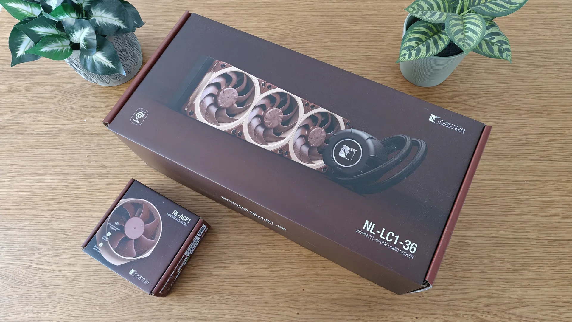 Noctua NL LC1 Review Es002